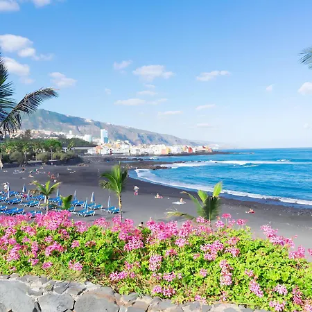 Puerto Cruz Relaxing Shared Pool *